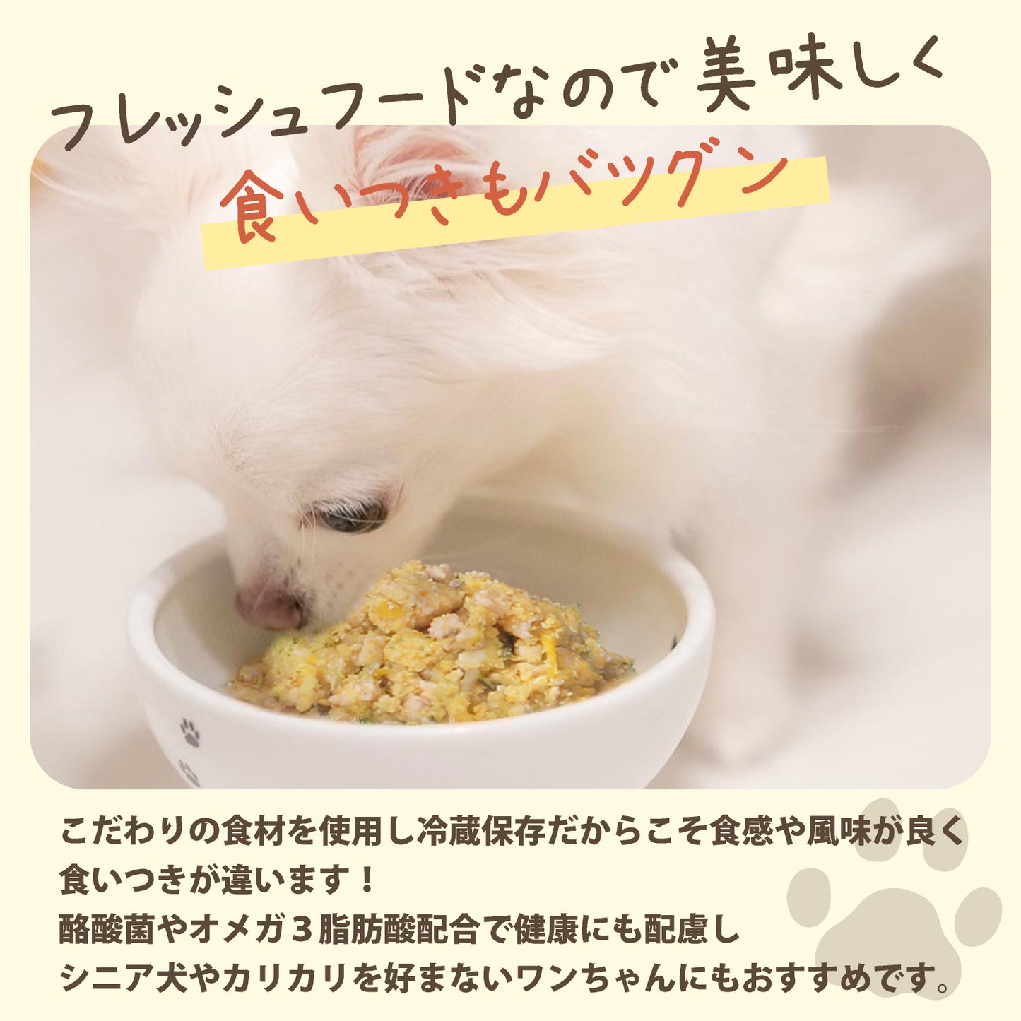 sou food 犬の食育士監修の手作りドッグフード【総合栄養食 国産 酪酸菌 オメガ3脂肪酸】