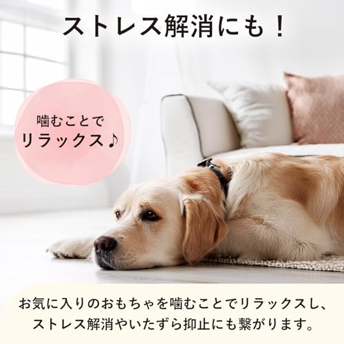 犬用 噛むおもちゃ 2種セット