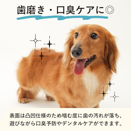 ワンちゃん用噛むおもちゃ トウモロコシ型