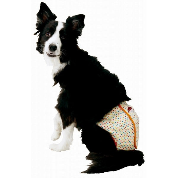 ペティオ zuttone ずっとね 老犬介護用 紙おむつカバー 2L