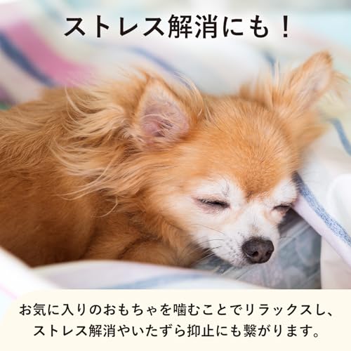 ワンちゃん用噛むおもちゃ トウモロコシ型