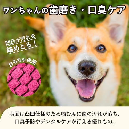 犬用 噛むおもちゃ 2種セット