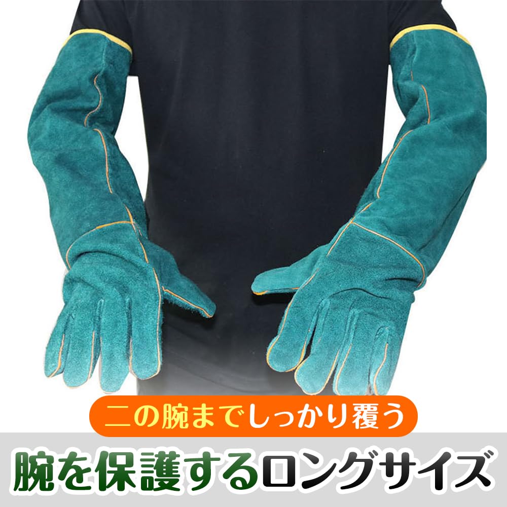 ペットグローブ