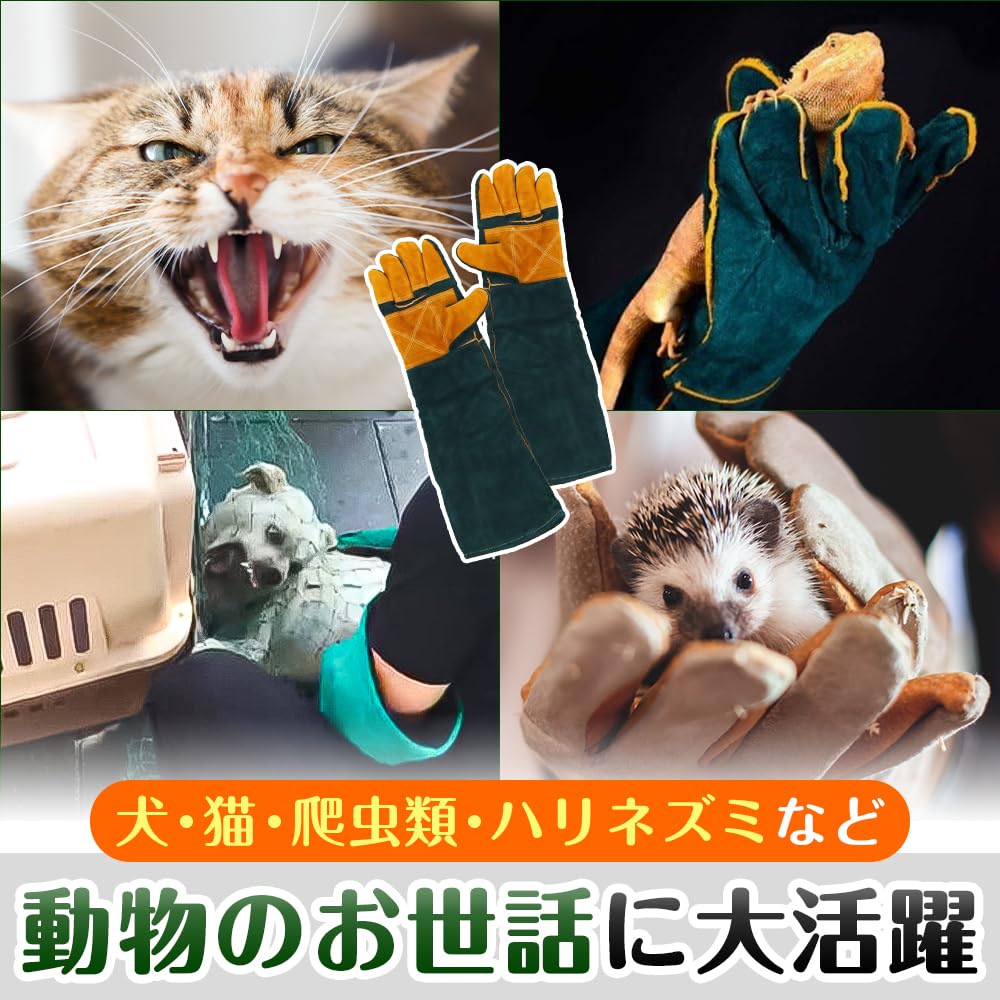 ペットグローブ