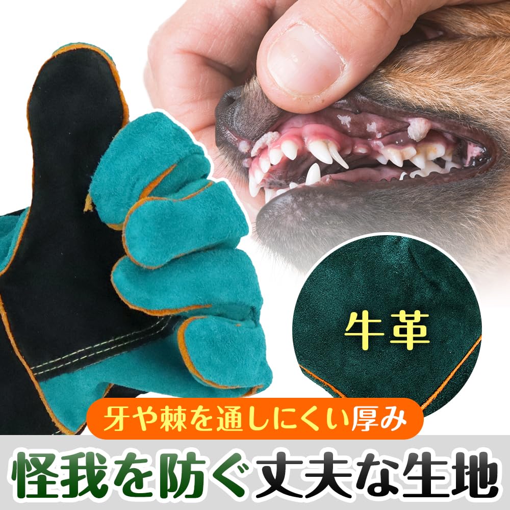 ペットグローブ