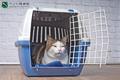 愛犬・愛猫の「分離不安」対策法：飼い主ができること