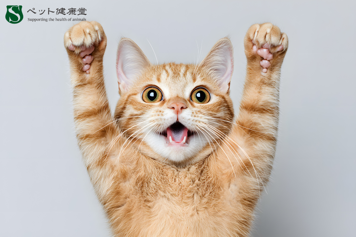 猫の腸内環境ケア：人気急上昇中のプロバイオティクス活用法