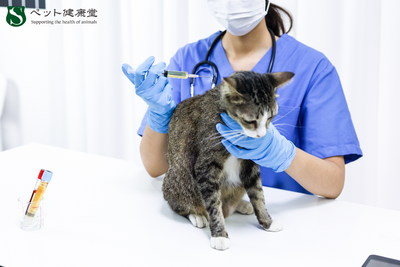 飼い主が知っておくべき、最新の動物医療トレンド2025