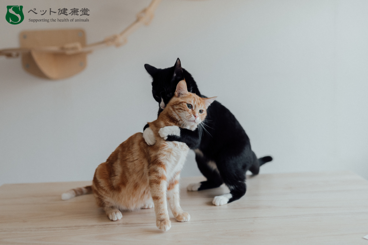 共働き飼い主必見！最新ペットケアサービスで健康管理をサポート