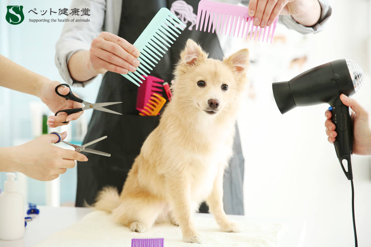 皮膚トラブルを防ぐ！季節別にできるスキンケア法