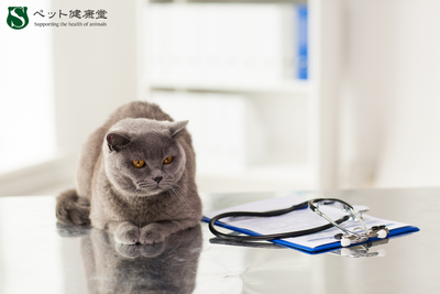 “ネコノミクス”時代、社会変化とともに求められる猫の健康配慮