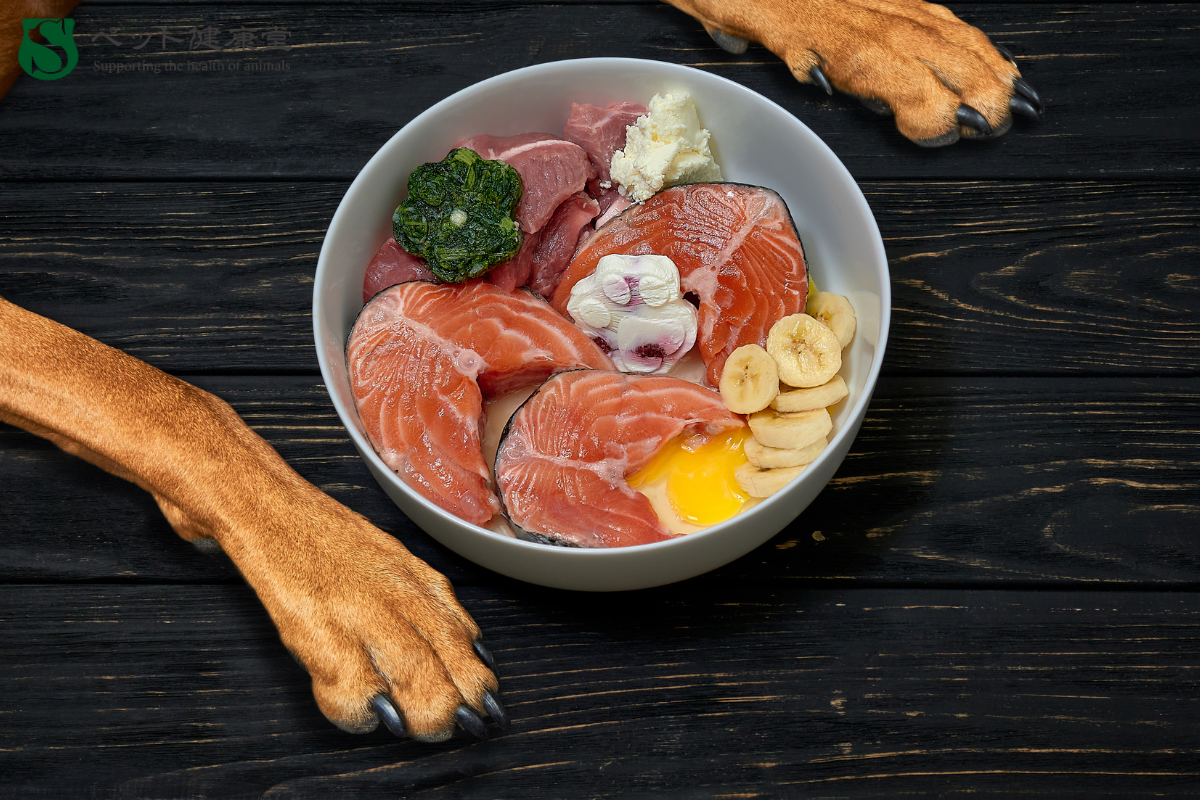 犬にとってNGな“人間の食材”リスト 健康被害事例から学ぶ安全知識