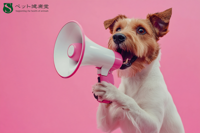 外国人飼い主が増加中！言語の壁が招くペットの健康トラブル