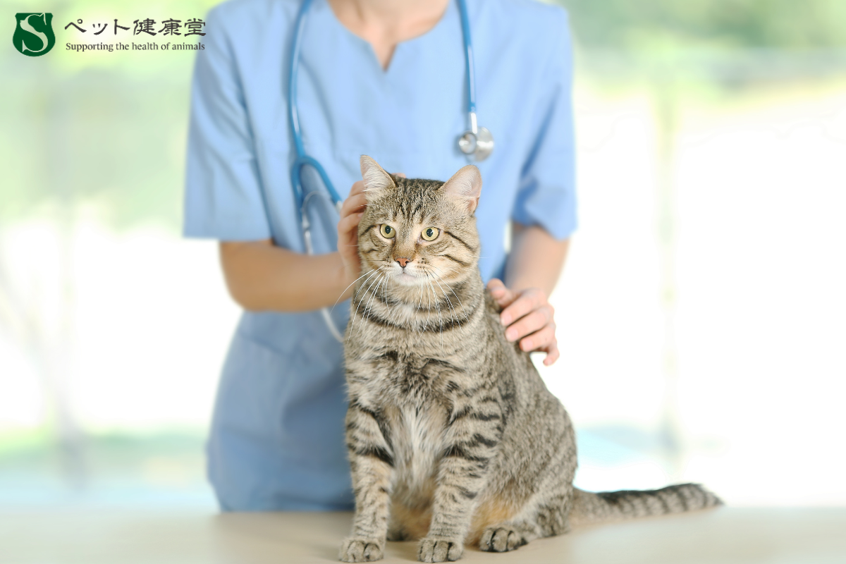 ペットの健康診断、どこまで必要？受けるべき検査とその効果