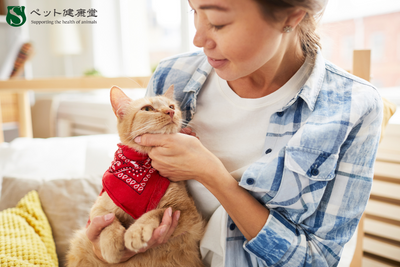 “信頼関係”が健康をつくる？飼い主の態度とペットの体調の相関性