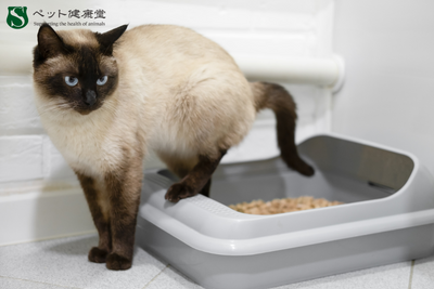 ニオイでわかる体調異変？口臭・体臭・排泄臭が示すサインとは
