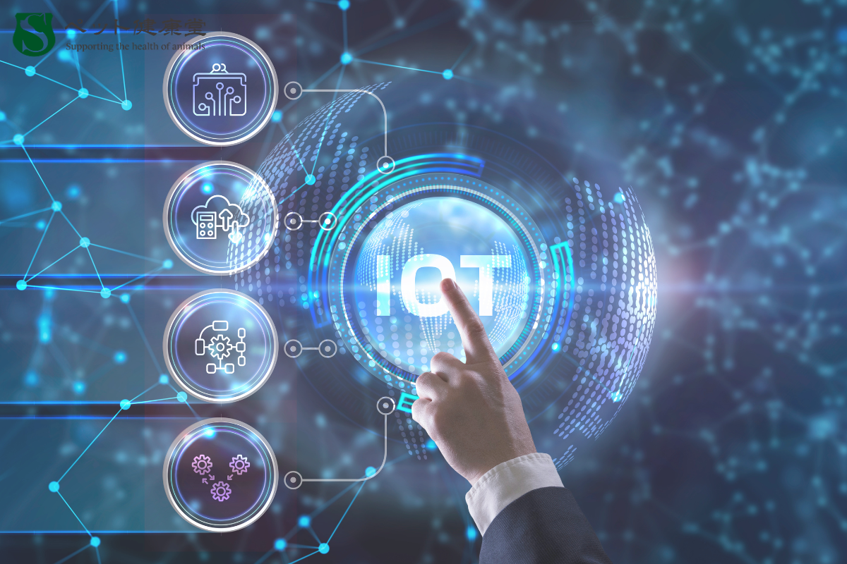 ペット×IoT：スマート技術でペットの健康管理がここまで進化！