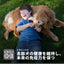日本ヒルズ サイエンス・ダイエット シニアライト 小粒 肥満傾向の高齢犬用 12kg