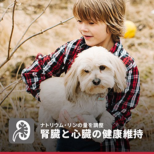 日本ヒルズ サイエンス・ダイエット シニア 小型犬用 高齢犬用 1.5kg